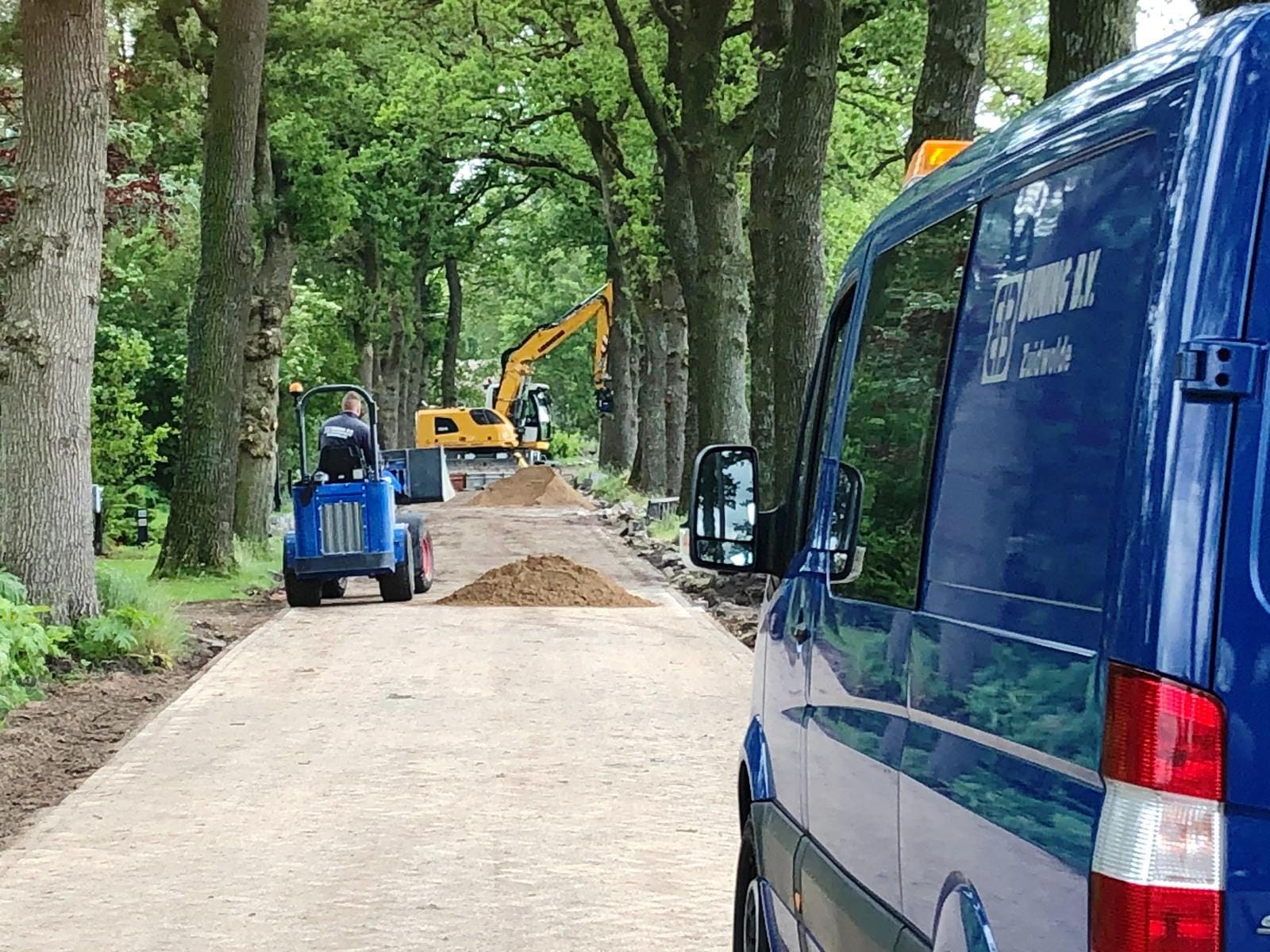 Ruinerweide – Ruinen